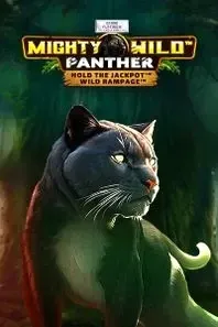 Mighty Wild Panther slot with black panther